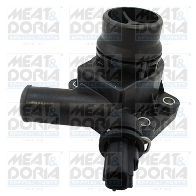 Thermostat, coolant